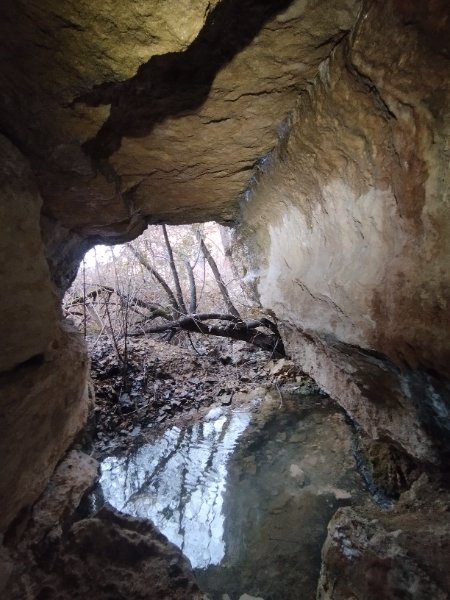 Magny-les-villers - grotte de la carrière du chêne - entrée cavité vue de l intérieur, photo Aurélien Bloch.jpg
Entrée aujourd'hui masquée dans les broussailles.
Fichier manquant